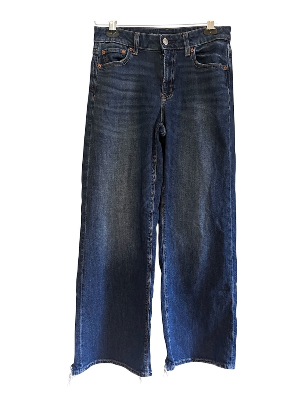 American Eagle Outfitters Low-Rise Baggy Wide Leg size 0